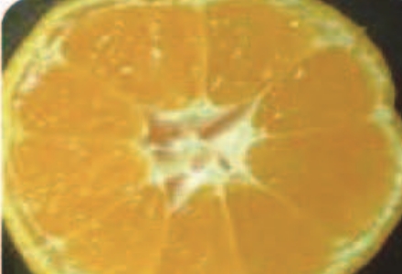 Peel Lifting