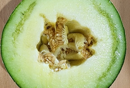 Melon Defect