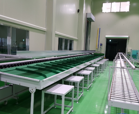 Pre-Tray Type Process