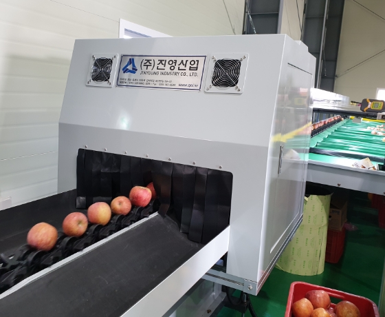 Pre-Tray Type Process