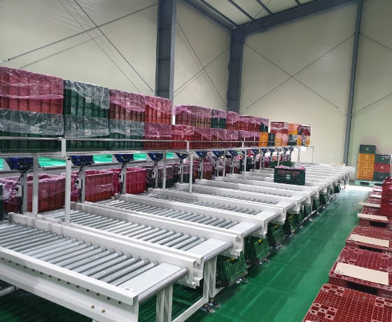 Pre-Tray Type Process