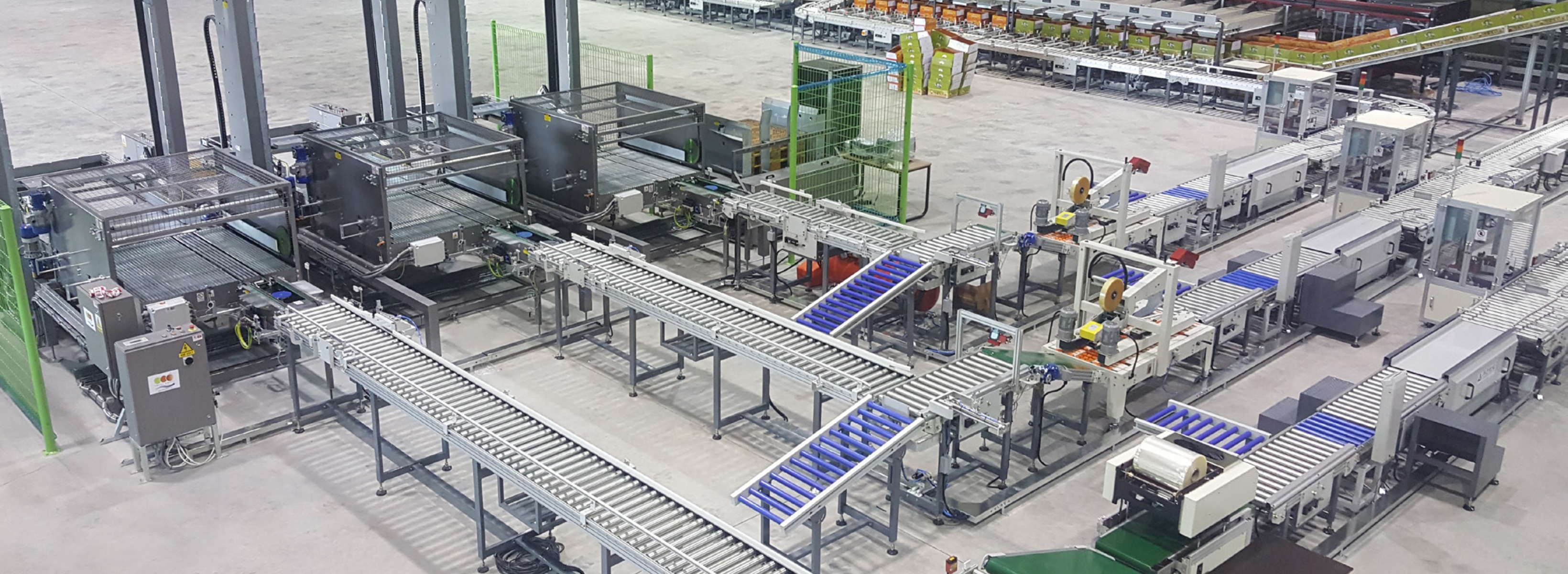 Citrus Non-Destructive Sorting Line