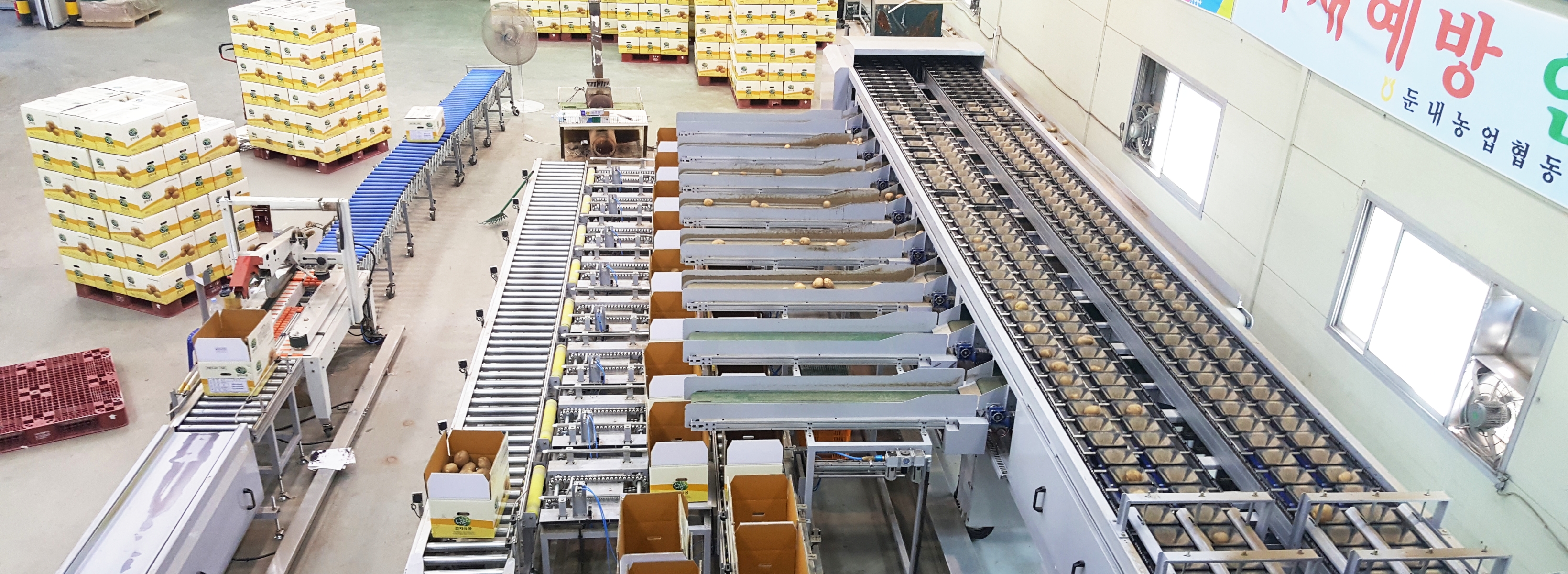 Electronic Weight Sorting Line