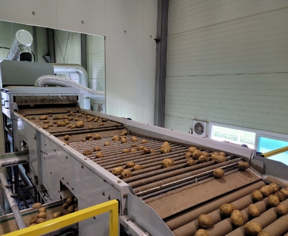 Downward Discharge Process