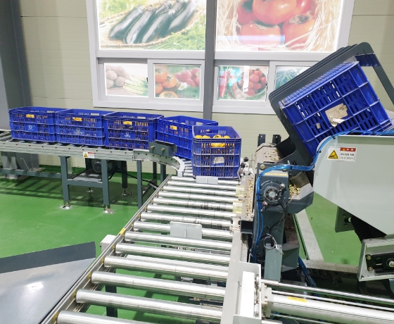 Persimmon Sorter