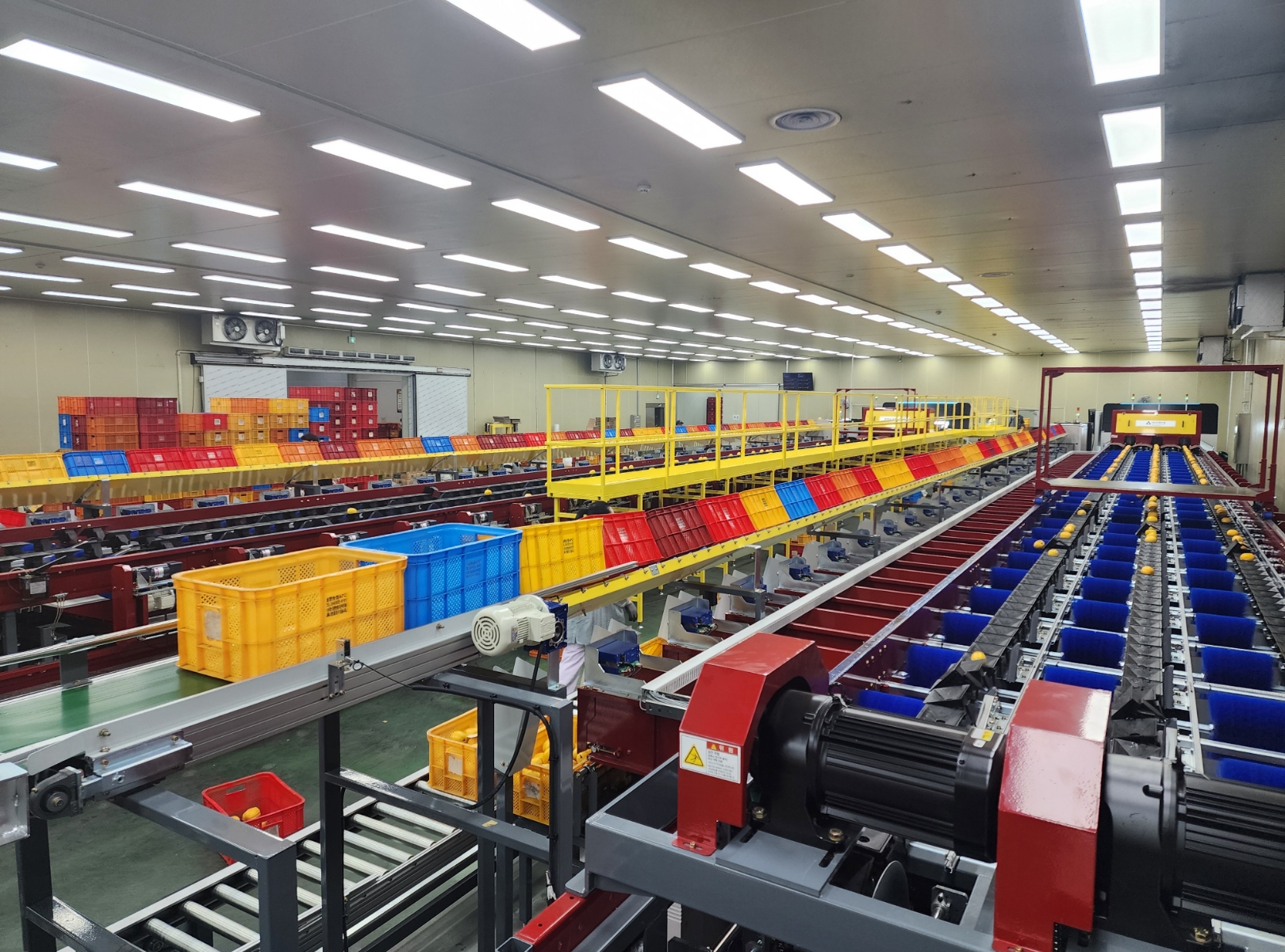 Watermelon / Melon / Oriental Melon Sorting Line