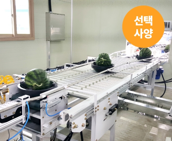 Watermelon · Melon Sorting Process