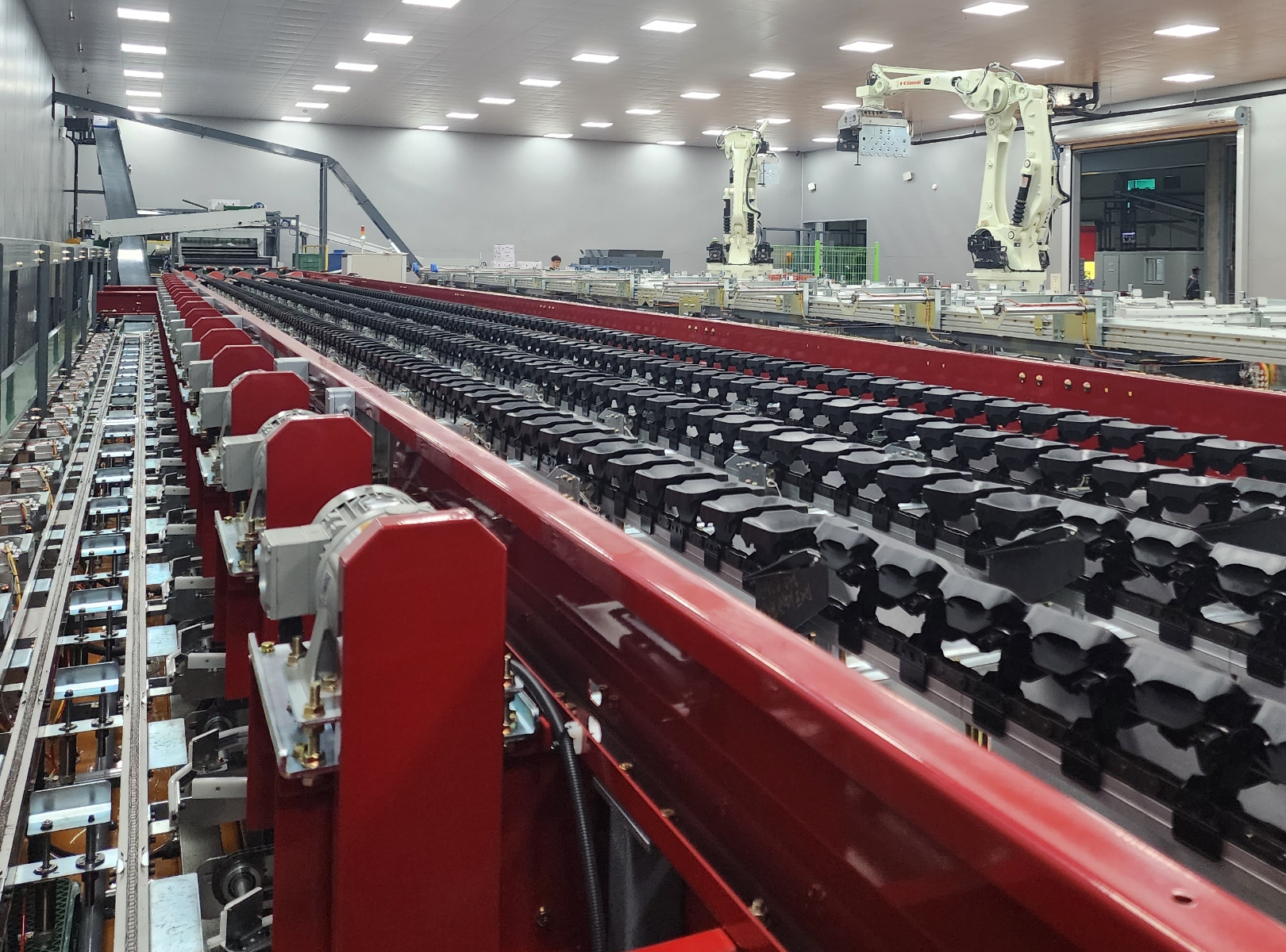Paprika Sorting Line