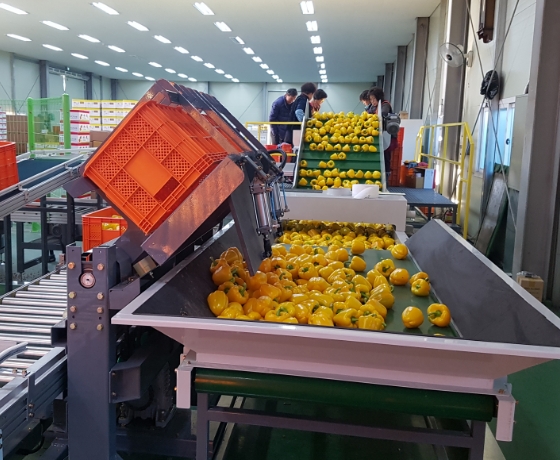 Automatic Process