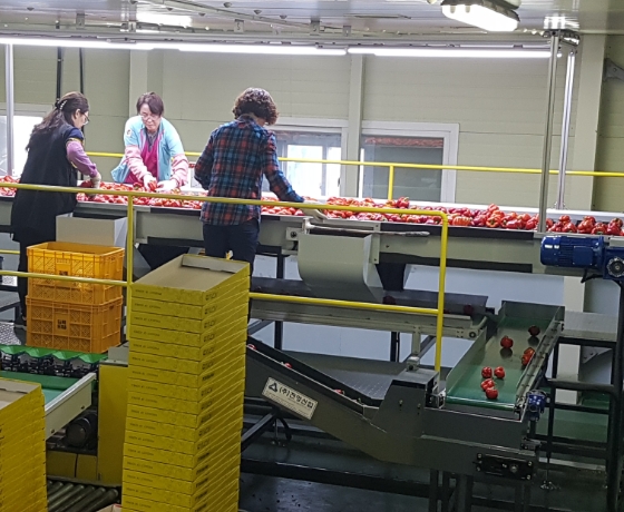 Automatic Process