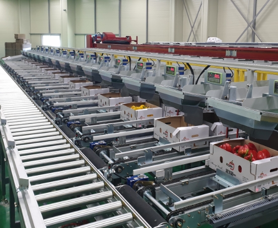 Automatic Process