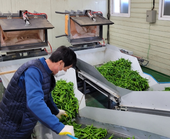 Sorting Process