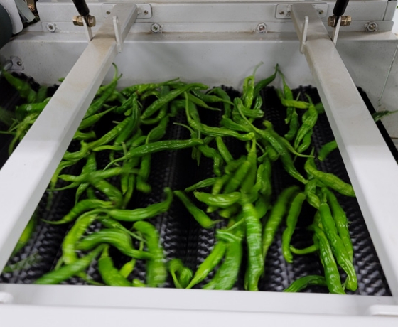 Sorting Process