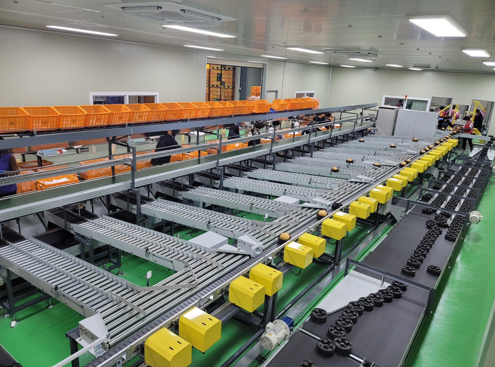 Pre-Tray System