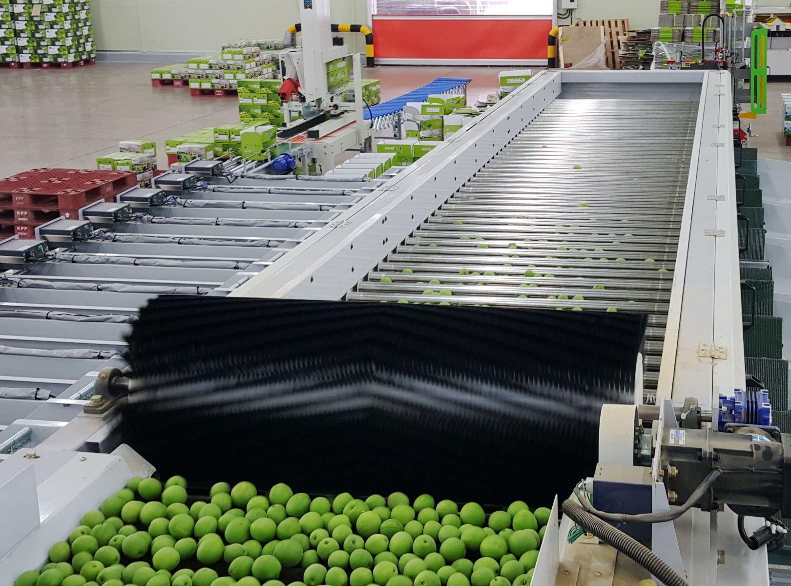 Shape-Based Sorting Line