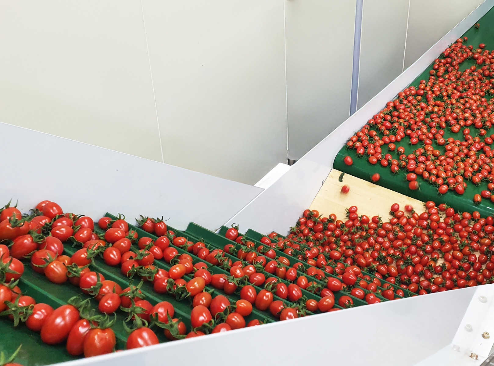Shape-Based Sorting Line