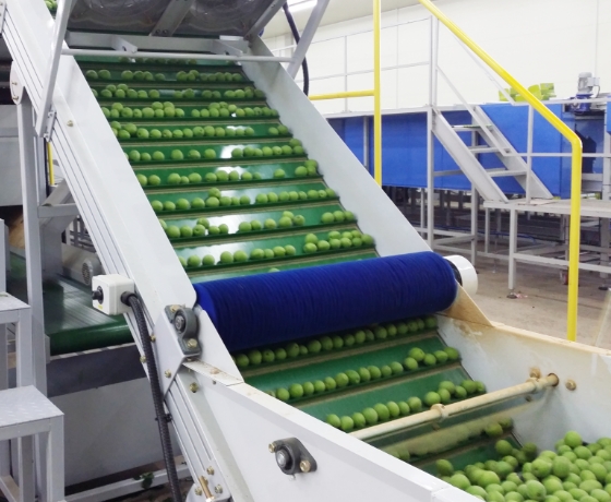 Lift Roller Process