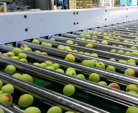 Lift Roller Process