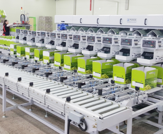 Lift Roller Process