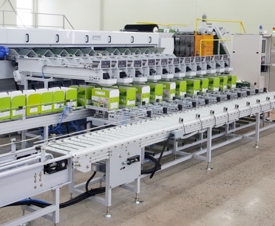 Lift Roller Process