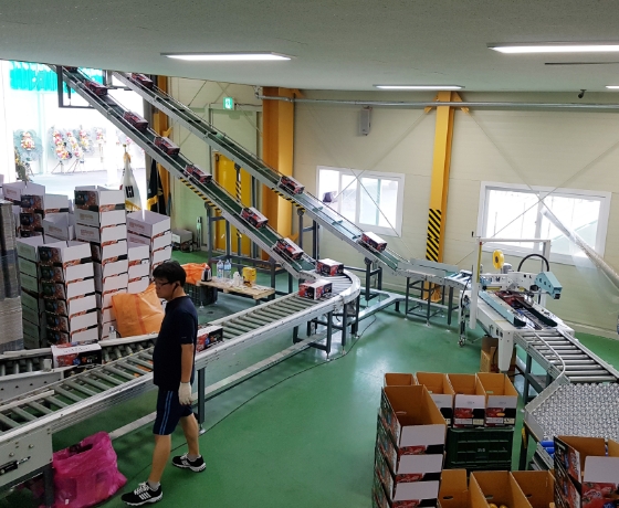 Carrier Type Process