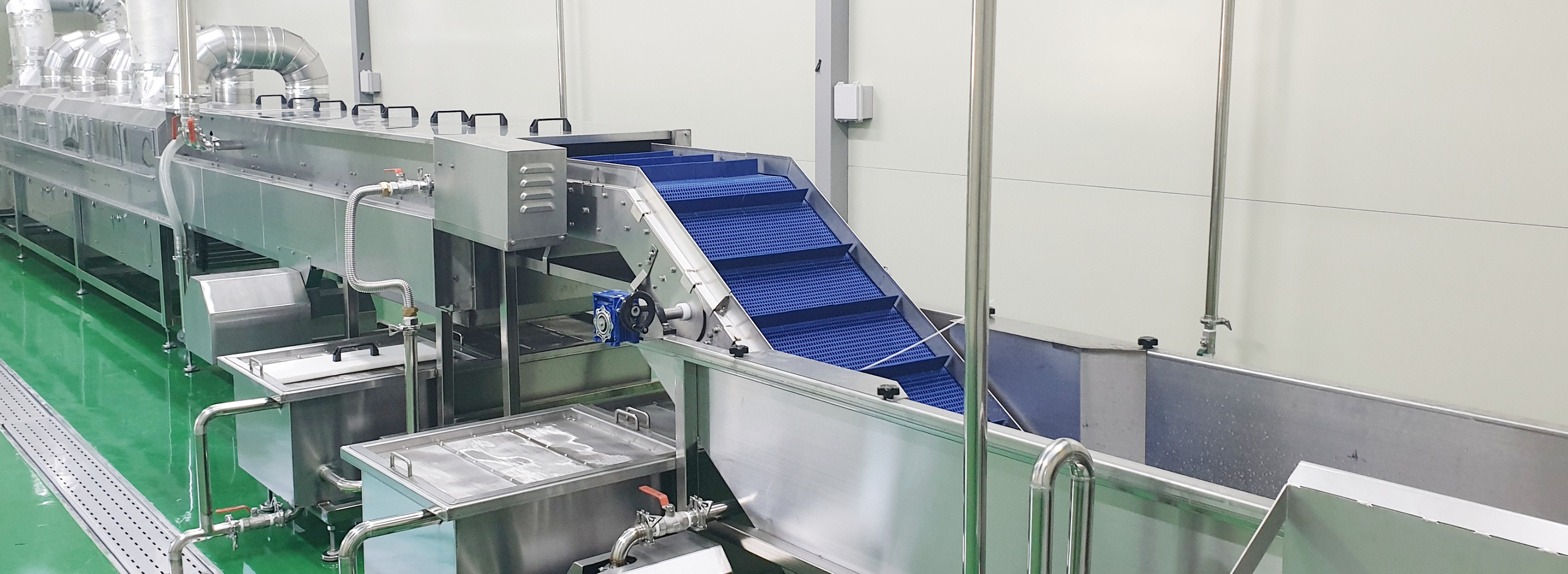 Cabbage Washing / Salting Facility