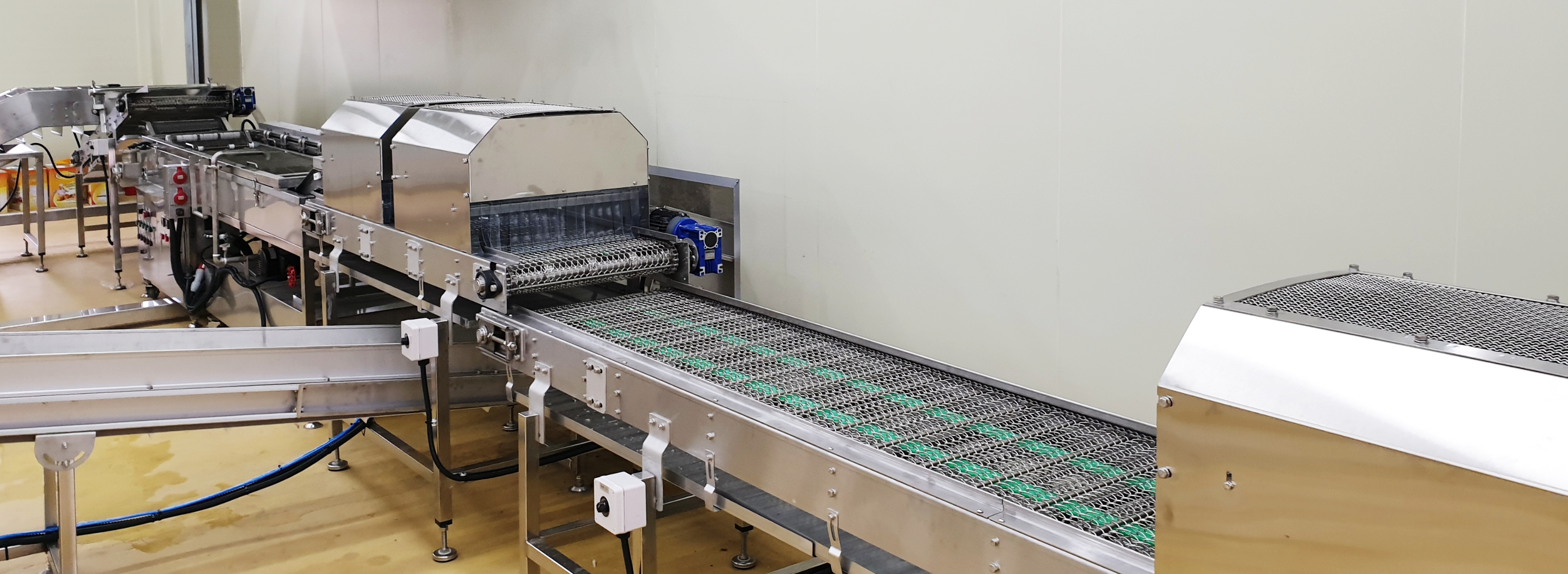 Potato Processing Line